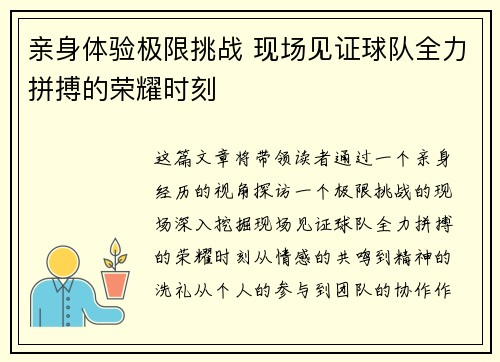 亲身体验极限挑战 现场见证球队全力拼搏的荣耀时刻