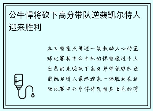 公牛悍将砍下高分带队逆袭凯尔特人迎来胜利